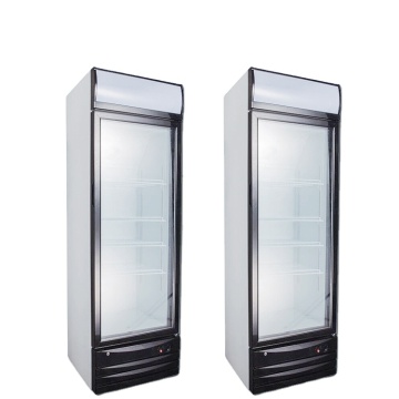 Upright Freezer Showcase: Ultra-Low Temperature Display Freezers for -25°C Storage