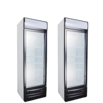 Upright Freezer Showcase: Ultra-Low Temperature Display Freezers for -25°C Storage