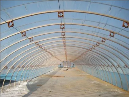 greenhouse film/greenhouse film/ agriculture greenhouse 3 layer film/different specification/function film