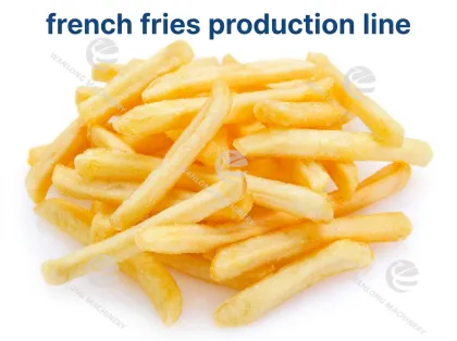Continuous Industrial Frying Machine
