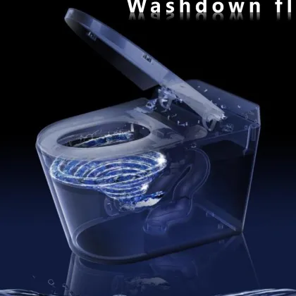 Luxury Intelligent Electric Bidet Smart Toilet