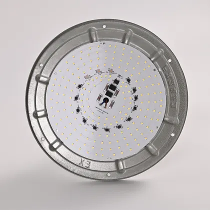 Professional High-Quality LED Explosion-Proof Lighting: 50W and 100W Explosion-Proof Lights