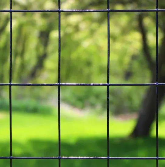 Hot Dipped Galvanized Fixed Knot Woven Wire Fence for Cheap Pasture and Goat Grassland