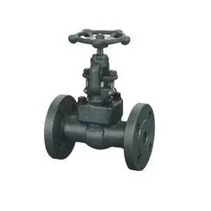 Forged Steel Integral Flanged Globe Valve
