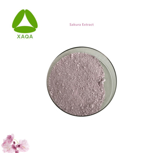 Mulberry Leaf Extract Natural Plant Extract Sakura Cherry Blossom Extract Powder Manufactory