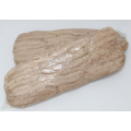 /msite/products/detail/productid/63187456/id/1006120.html