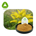 Flor de doros Herbal Extracto de masa de oro en polvo