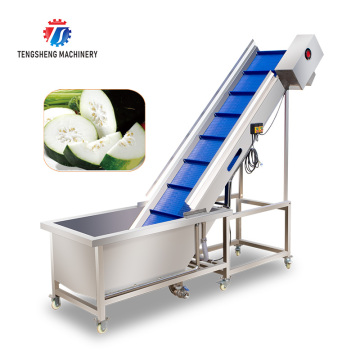 TS-T30A Industrial Vegetable and Fruit Citrus Passion Fruit Pre-foaming Elevator Machine