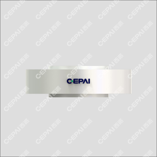 Dual Plate Check Valve