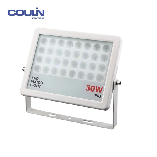 Colorful Customized 24V 100W Led Flood Light