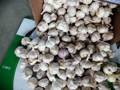 best way to preserve fresh garlic