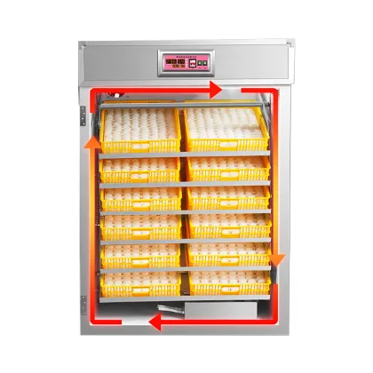 10000 Eggs Big Safe and Efficient Egg Incubator