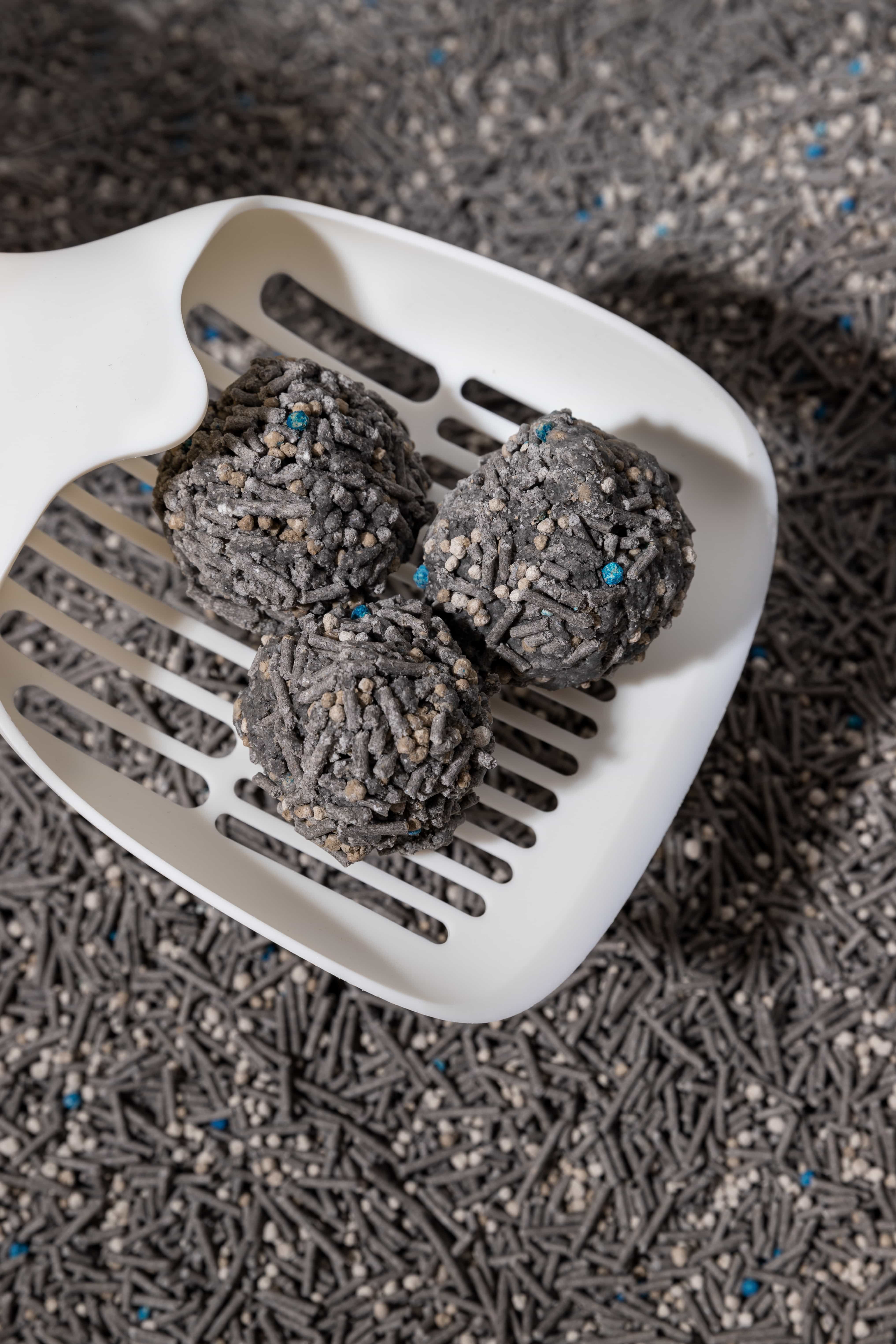 Activated carbon cat litter