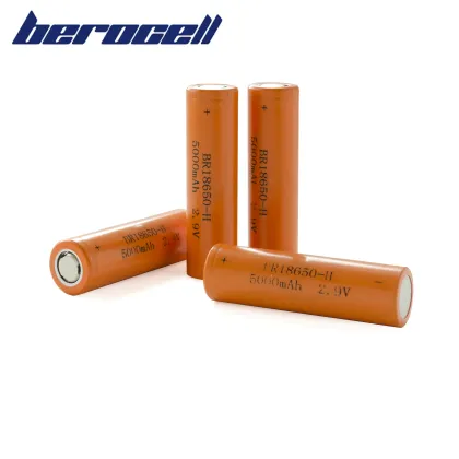 Efficient 18650 Lithium Fluorocarbon Battery Unit