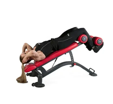 Professional Gym Equipment Multipurpose Sit Up Bench