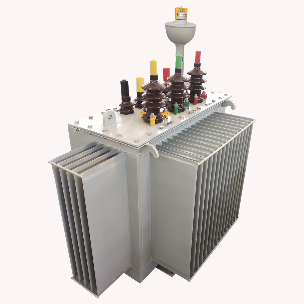 3 المرحلة 11KV 100KVA محول الطاقة المنغمس