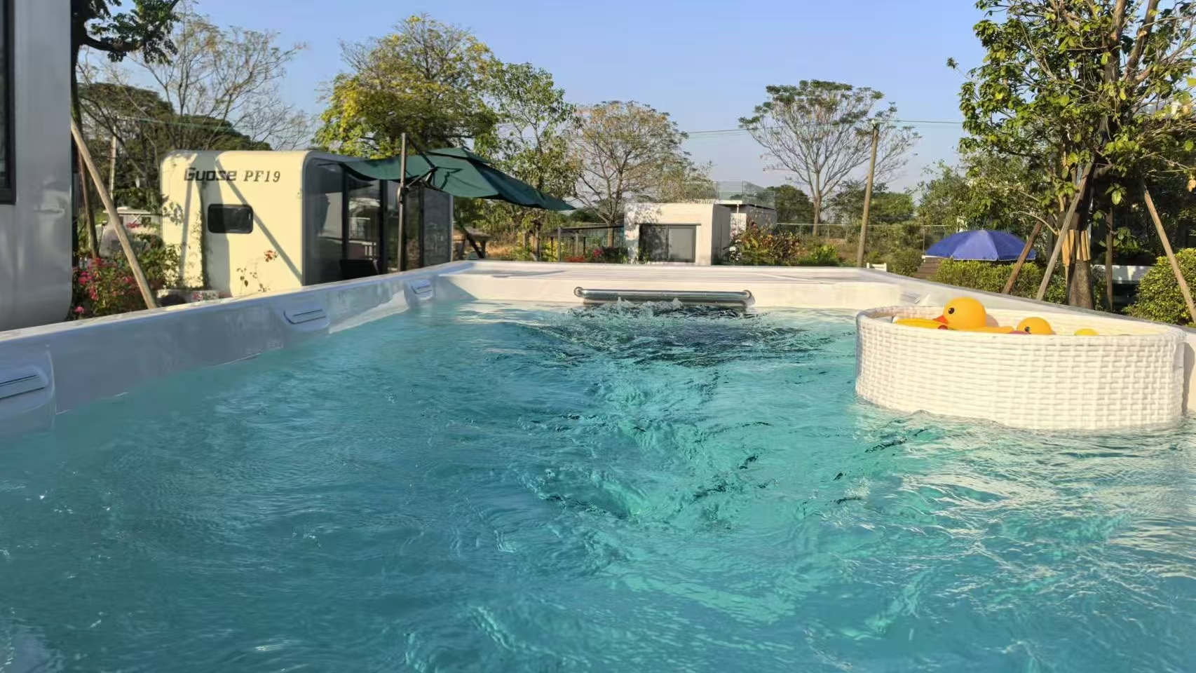 endless pool