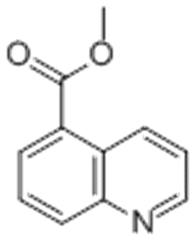 5-Quinolinecarboxylicacid, methyl ester CAS 16675-62-0