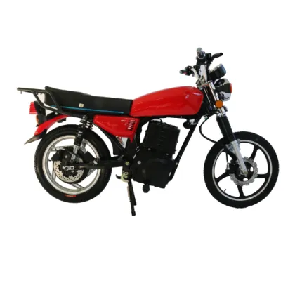 adult citycoco tres ruedas reverse electric motorcycle