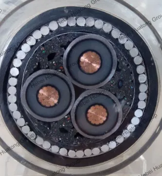 N2xseygby Medium Voltage 3 Core Cu/XLPE/Swa/PVC Armoured Power Cable