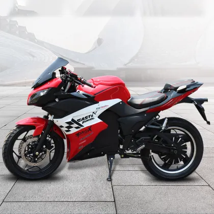 Electric Motorcycle Tailg Motorbike Speed Cruiser White Adult Controller China Canada