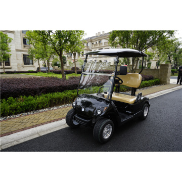 battery or gas powered two seater golf car