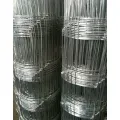 Deer Wire Mesh Fence Galvanized Fawn Fence