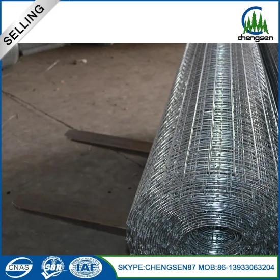 Customize Stainless Steel Welded Wire Mesh Panel