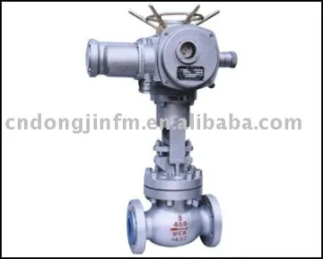 Globe valve with electric actuator