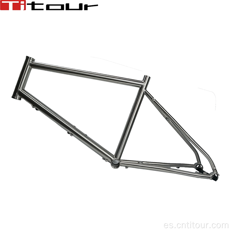 Titanium Mini Velo Bicycle Frame 451