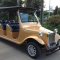 For sale classic 12 seats petrol golf cart