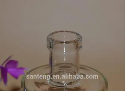 Borosilicate glass bottle, Built-in flying dragon straight 250 ml glass bottle