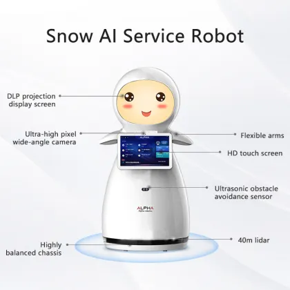 CSJBOT: Intelligent Humanoid Service Robot for Education