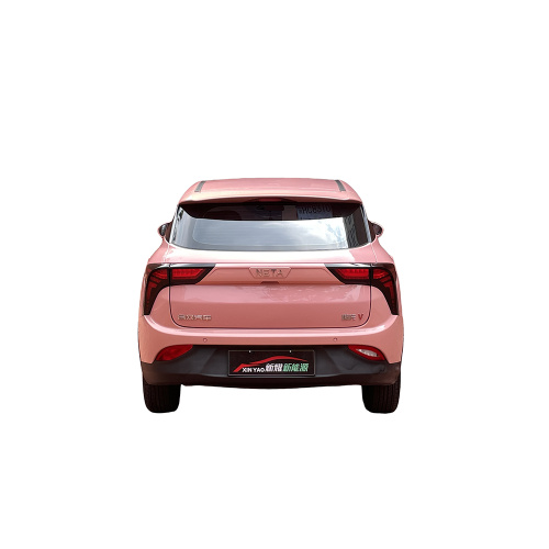 Second-hand new energy Neta V 2021 model