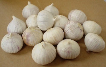 Different Sizes Best Quality Solo Garlic From Yunnan