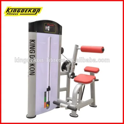 Assist Chin dip cybex fitness equipment