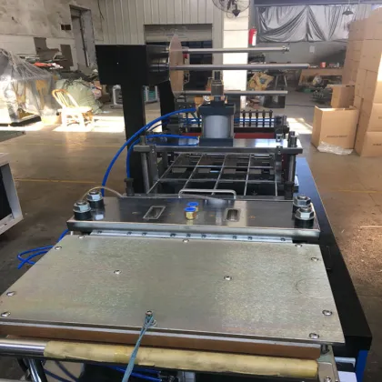 Automatic Plastic Thermoforming Vacuum Packaging Machines for Food & Beverage Factories