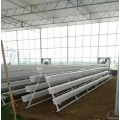 NFT Hydroponic Growing Gully untuk Rumah Hijau