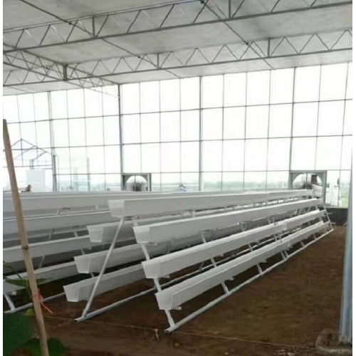 NFT Hydroponic Growing Gully untuk Rumah Hijau