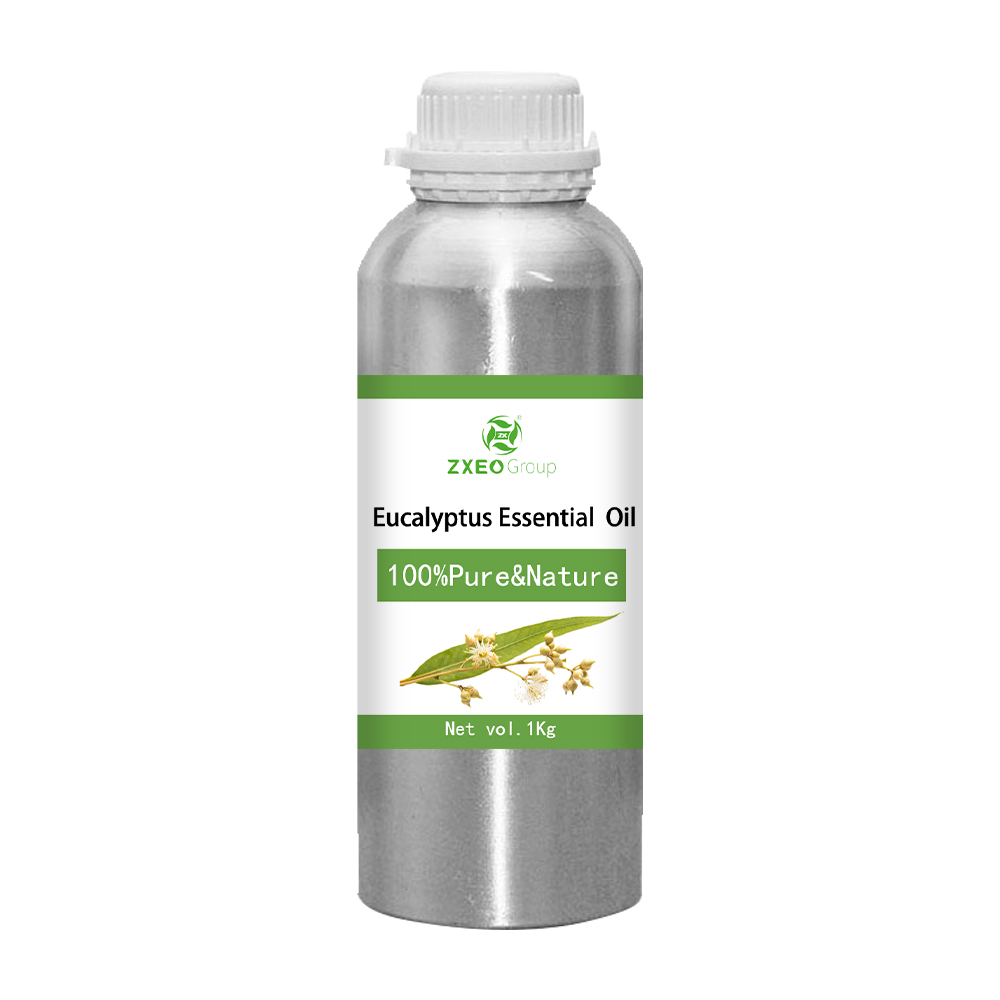 Aceite esencial de eucalipto orgánico a granel 100% puro para difusores de aromaterapia Amoristas de aire | Grado terapéutico sin diluir 1 kg