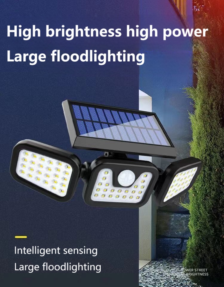Solar Garden Light(11)