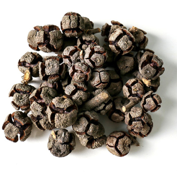 Wholesale Dried Flowers and Fruits for DIY, Teaching, and Decoration