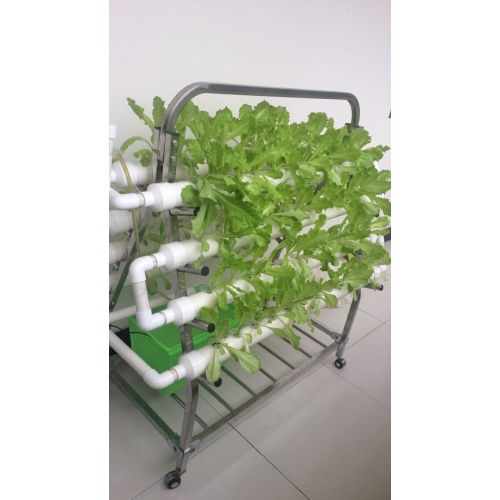 Garden Home NTF Indoor Hydroponic Grwoing System