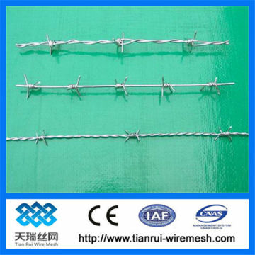 building barbed wire fences