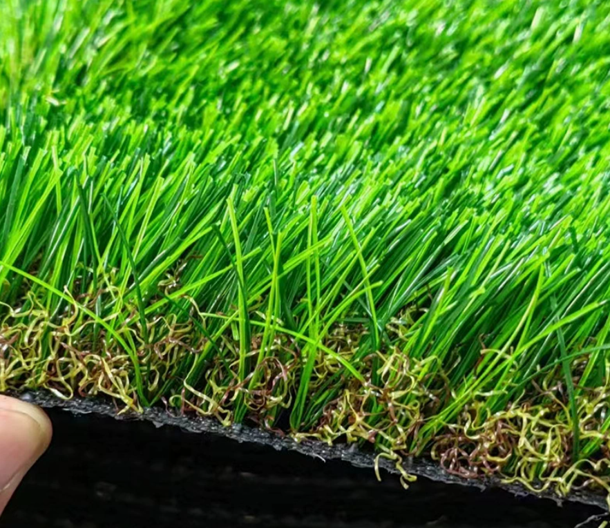 landscape grass08