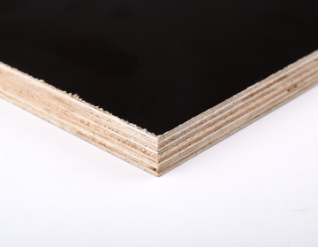 waterproof film faced shuttering plywood