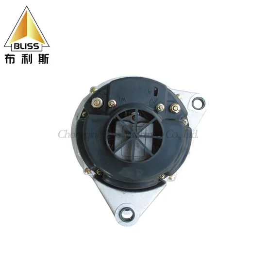 Professional Custom 48V DC Alternator for Electric Cars