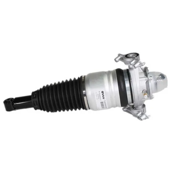 Factory Price New Rear Pneumatic Air Suspension System - Shock Absorbers Struts OE 7L6616020K 7L6616019K