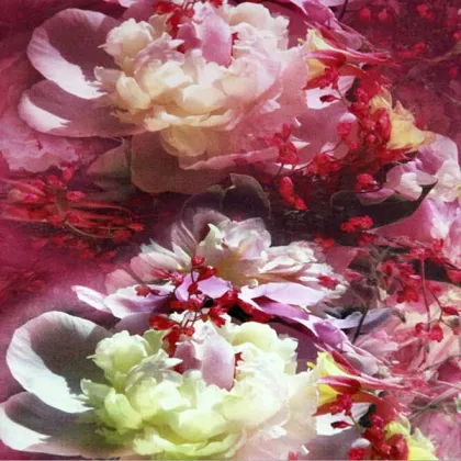 The new high-grade double-sided brushed warm winter scarf silk scarf