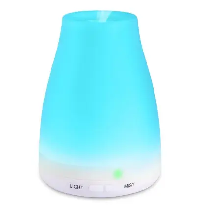 100ml Ultrasonic Negative Ion Room Portable Humidifier